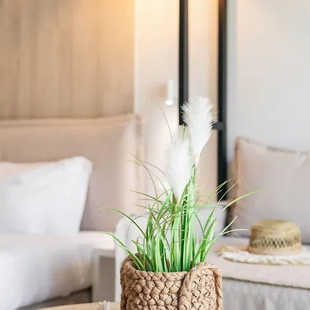 Lejlighed Minthi Boutique Hanioti