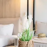 Apartment Minthi Boutique Hanioti