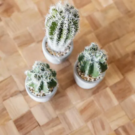 Minthi Boutique Appartement Hanioti