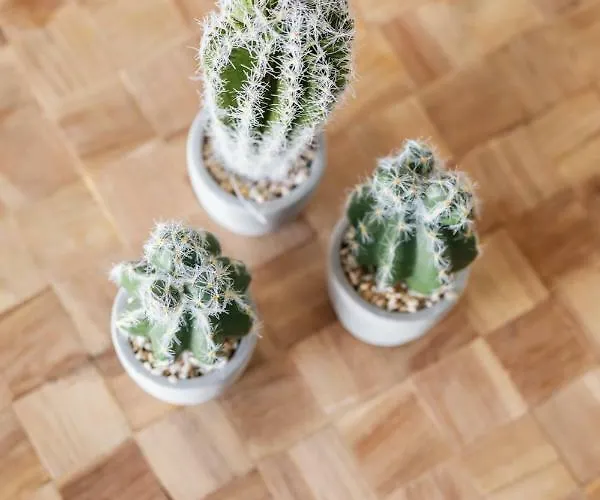 Minthi Boutique Appartement Chaniotis